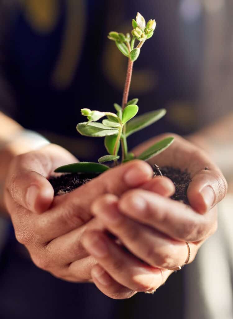 #00 - Casemeeting 4 Nurturing new life